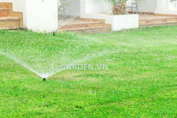 Sprinkler in garden watering the lawn. Automatic watering lawns concept.