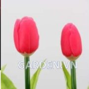 Đèn trang trí hình hoa tulip bằng nhựa 1